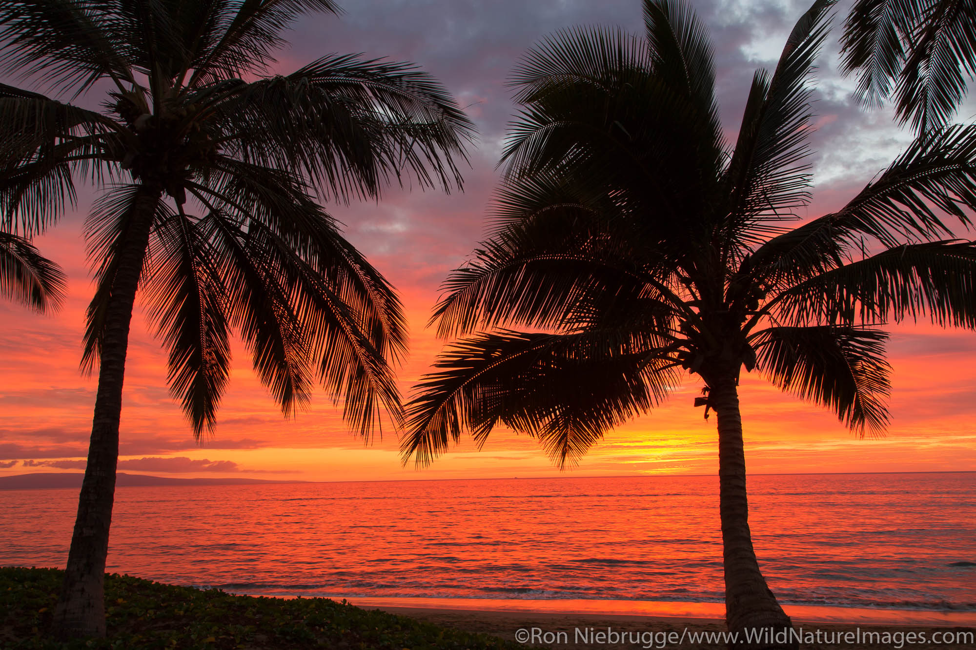 10 Most Beautiful Places to Go for Honeymoon in USA