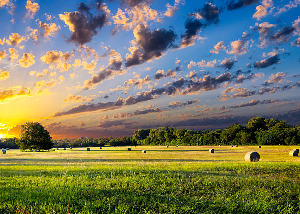 10 Most Beautiful Places to Go for Honeymoon in USA