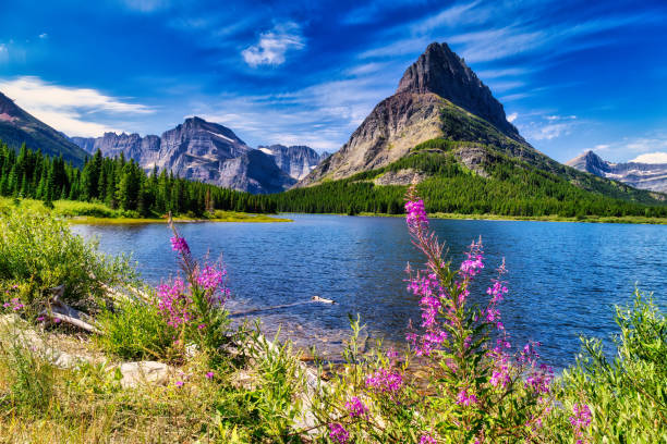 Nice Place for Vacation in USA
